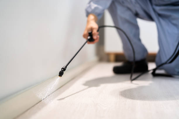 Certified termite inspector examining foundation in Highland Park